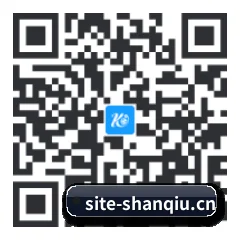 系统版 iOS 二维码